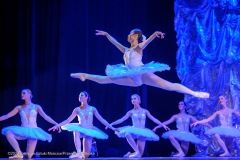 PSR_8885