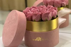 343453449_1441599106608298_6085225273058544772_n