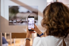 Wernisaże-dzień-po-dniu”-fot.-Małgorzata-Sikora-3