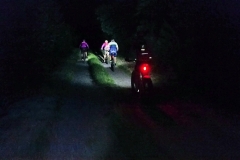 36914185_1982110551865949_8179150399253512192_n