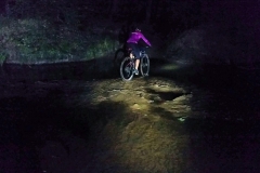 36919042_1982110781865926_3723227803676573696_n