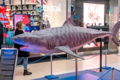 20230206_gemini_park_olbrzymy_oceanow_01