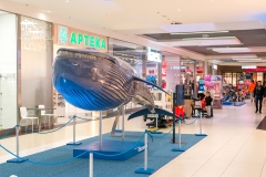 20230206_gemini_park_olbrzymy_oceanow_02