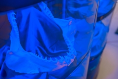 20230206_gemini_park_olbrzymy_oceanow_08