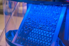 20230206_gemini_park_olbrzymy_oceanow_09