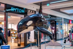 20230206_gemini_park_olbrzymy_oceanow_10