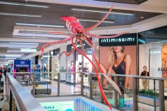 20230206_gemini_park_olbrzymy_oceanow_11