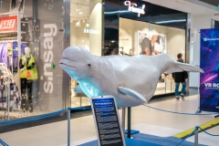 20230206_gemini_park_olbrzymy_oceanow_13