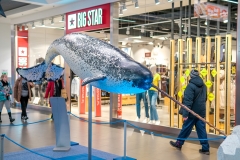 20230206_gemini_park_olbrzymy_oceanow_15