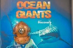 20230206_gemini_park_olbrzymy_oceanow_16