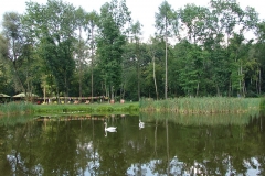 park_piastowka_1-1