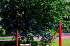 park_strzelecki_8