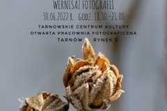 Bożena-Kaczmarczyk-–-Ulotność