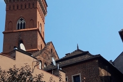 spacer_po_tarnowie-10-min