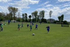 2099B291-17FA-4E4C-A970-A2F613264DE0