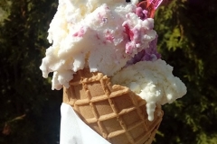 festiwal_smaku_tarnow-3-min