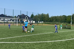 DCA01B2F-FCB5-4B96-ADB6-99043E440D61