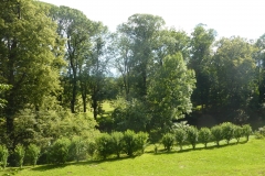 36576936_2165741220106098_2103757522262294528_n-min