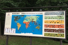 zoo_krakow-4