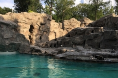 zoo_krakow-6